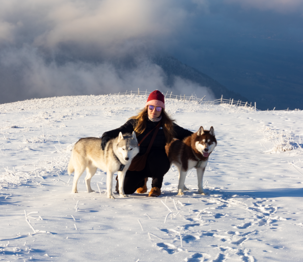 equipement randonnée hiver avec son chien