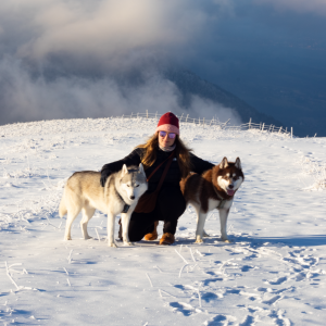 equipement randonnée hiver avec son chien