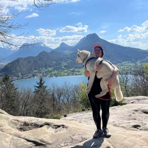 randonnée autorisée aux chiens roc de cher annecy