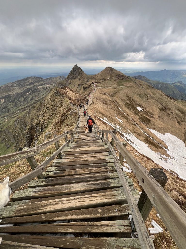Chien marchant aux côtés de son maître sur les sentiers de montagne du Puy de Sancy