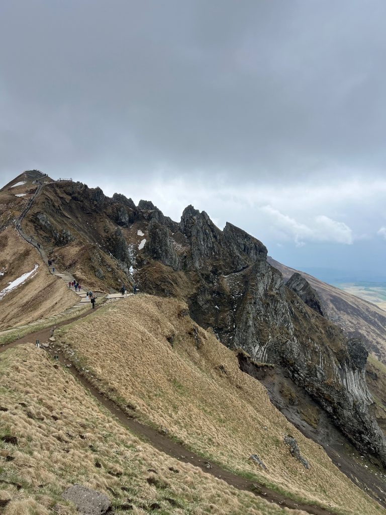Étendue verdoyante et fleurs de montagne sur les pentes du Puy de Sancy