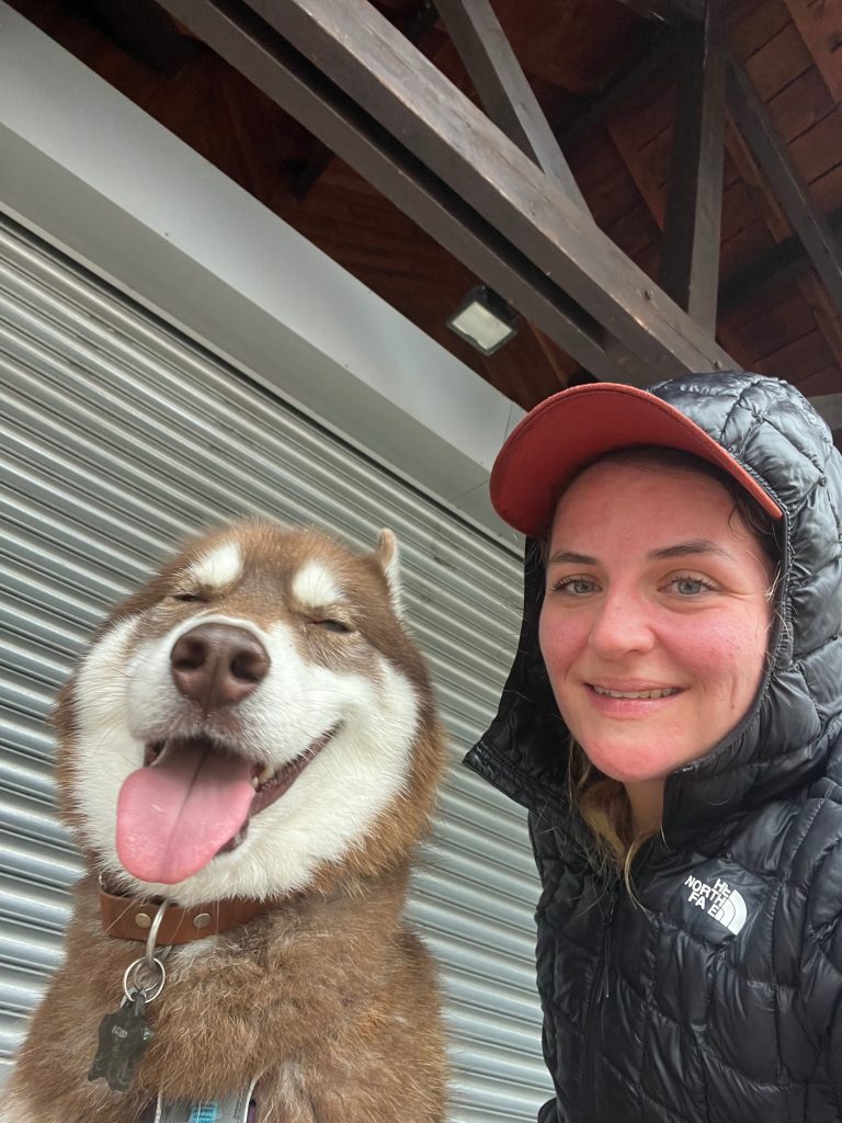 Husky en randonnée sur les pentes verdoyantes du Puy de Sancy