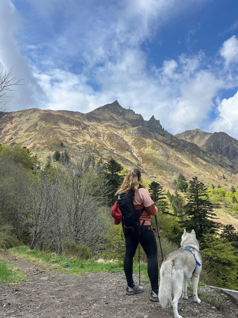 Sentier de randonnée du Puy de Sancy avec un chien en premier plan