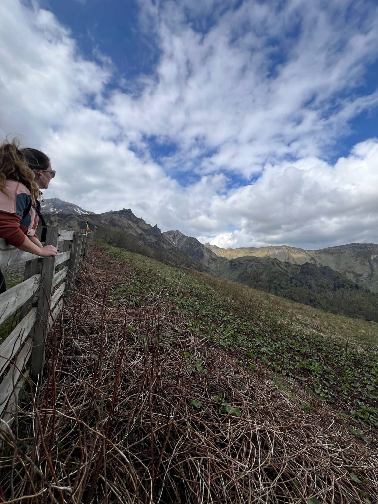 Randonnée nature en Auvergne avec son chien au Puy de Sancy