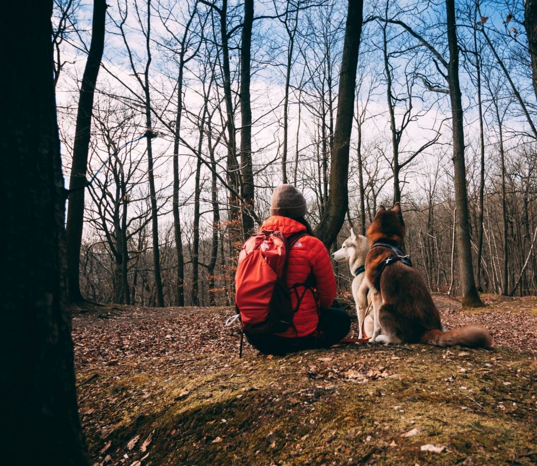 7 activités à faire avec son chien cet automne
