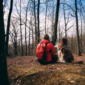 7 activités à faire avec son chien cet automne