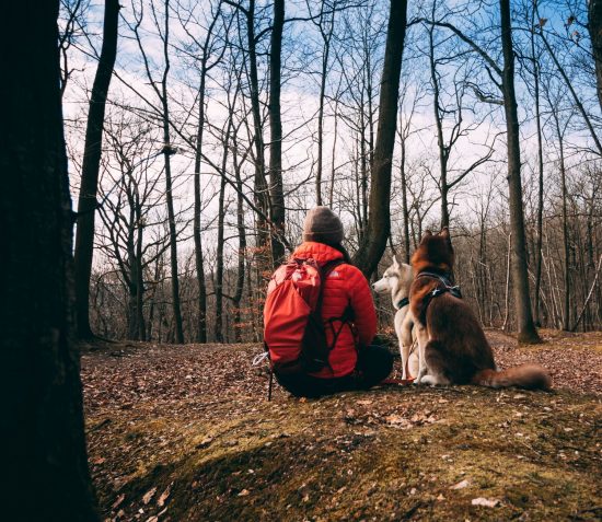 7 activités à faire avec son chien cet automne