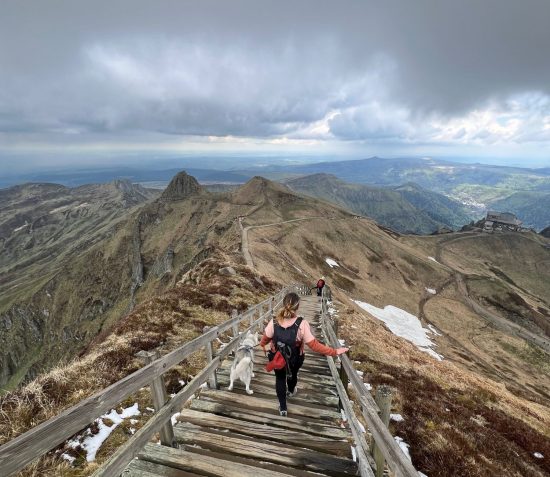 randonnée au Puy de Sancy avec son chien