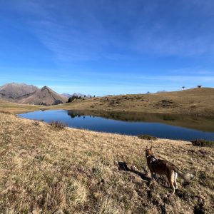 randonnée avec son chien en Haute Savoie facile et accessible