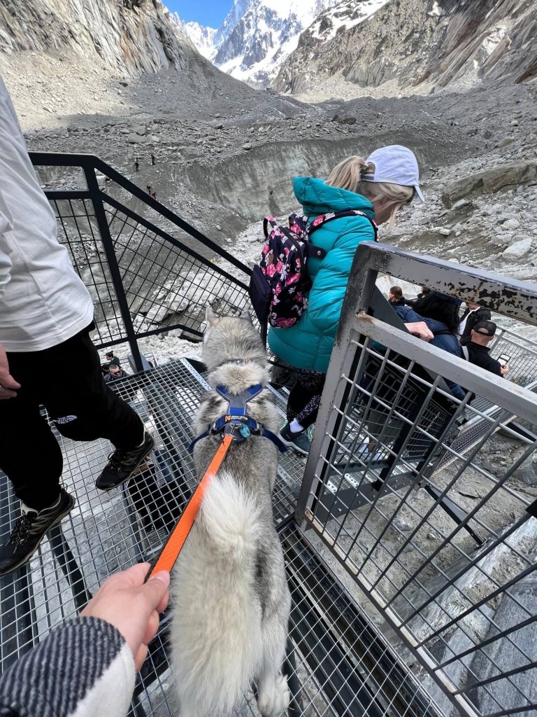 Escaliers de la Mer de Glace à Chamonix accessibles depuis le Montenvers