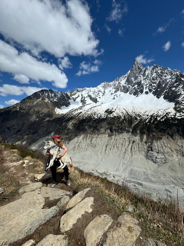 Vue sur le massif du Mont Blanc depuis le site du Montenvers avec un chien