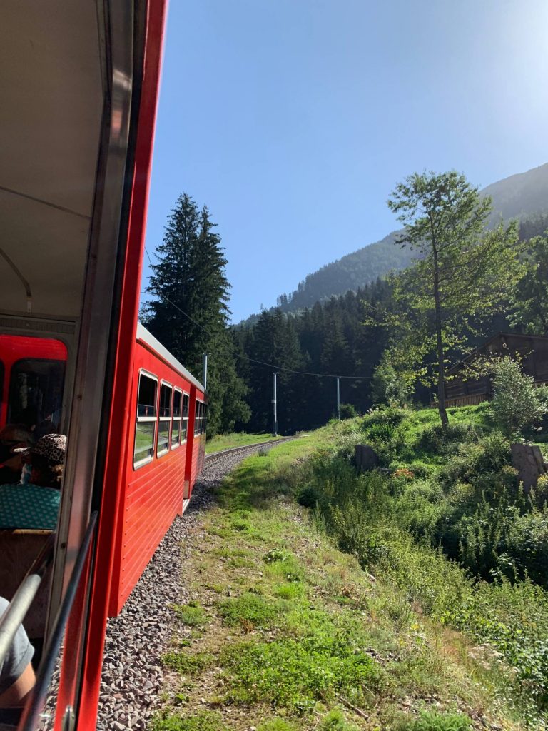 Train du Montenvers avec un chien à Chamonix en direction de la Mer de Glace
