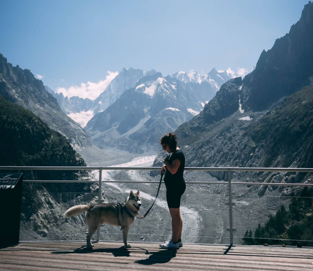 Chien à Chamonix lors d’une visite du train du Montenvers avec vue sur les montagnes de la Mer de Glace