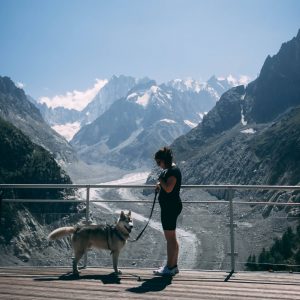 Chien à Chamonix lors d’une visite du train du Montenvers avec vue sur les montagnes de la Mer de Glace
