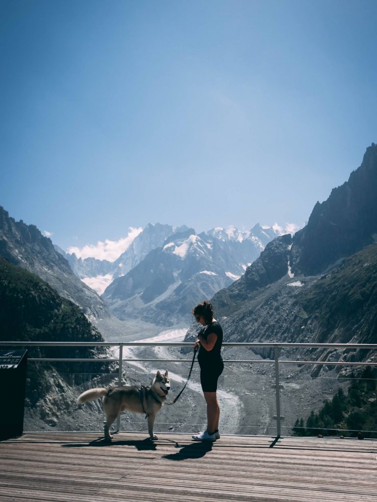 Chien en montagne à Chamonix lors de la visite du train du Montenvers et de la Mer de Glace