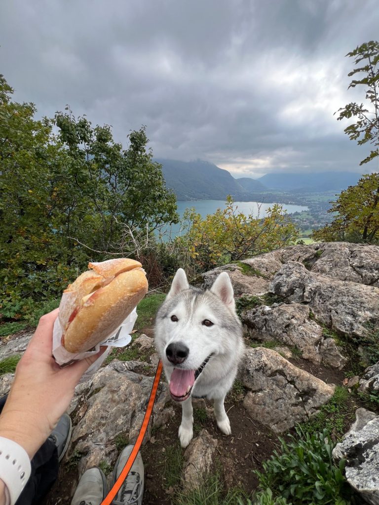 Crêtes rocheuses du Taillefer avec une vue dégagée sur le lac d’Annecy