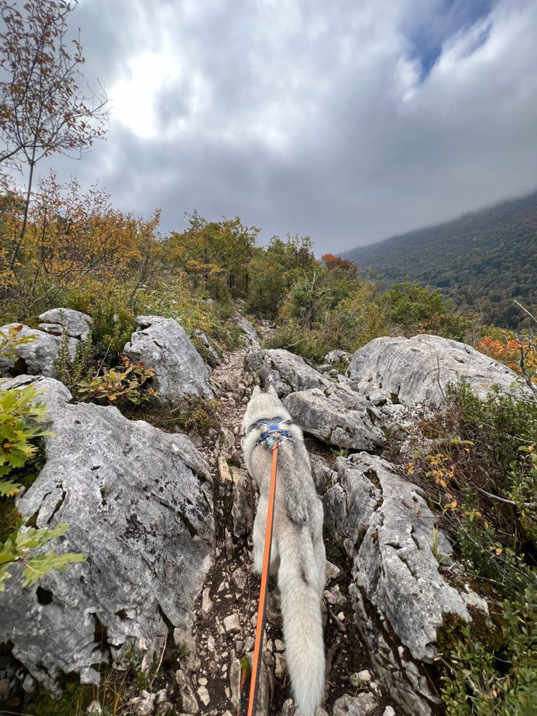 Passage rocheux et technique sur le sentier de randonnée du Taillefer