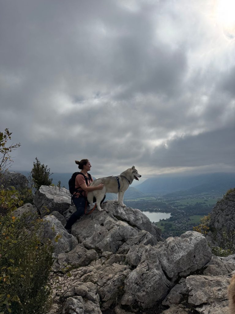 Chien progressant dans le passage rocheux de la randonnée du Taillefer à Duingt