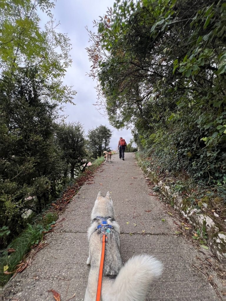 Édifices religieux le long du chemin de croix de Duingt vers le lac d’Annecy