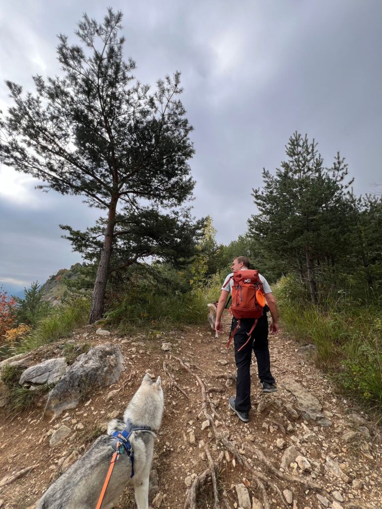 Chien en randonnée sur le sentier de la boucle du Taillefer autour du lac d’Annecy