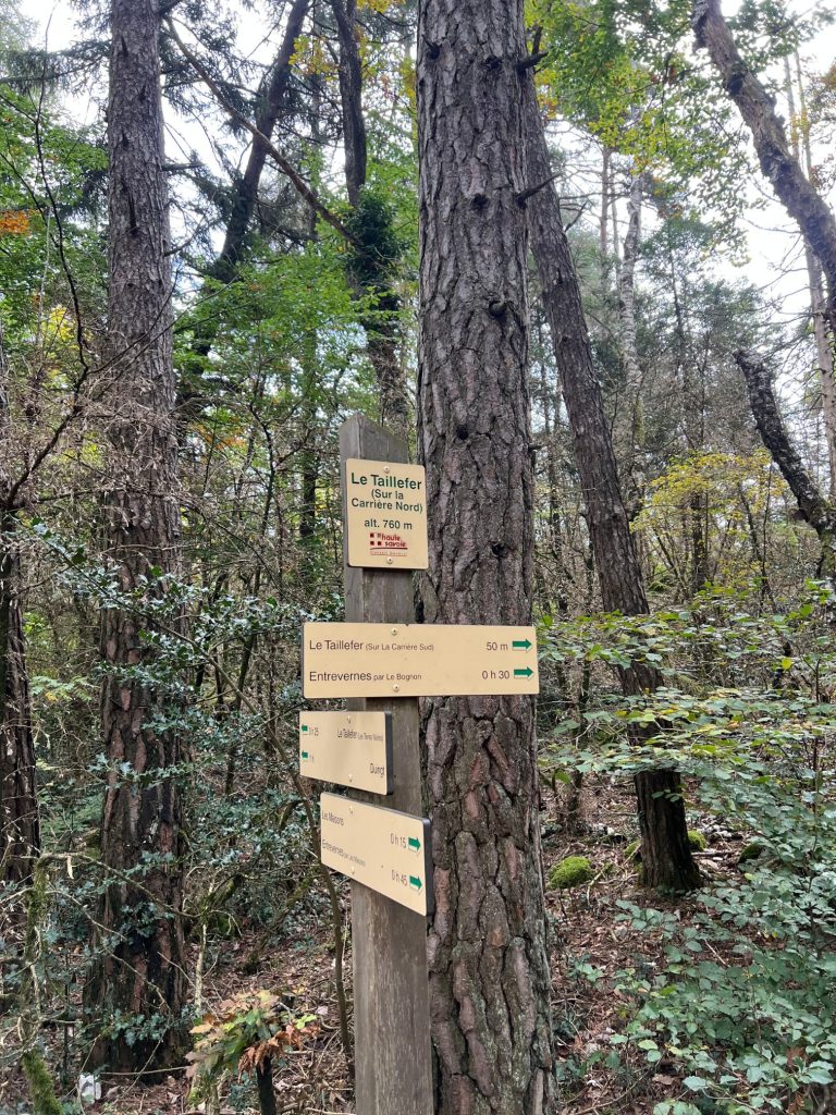 Sentier de la boucle du Taillefer traversant la forêt au-dessus de Duingt