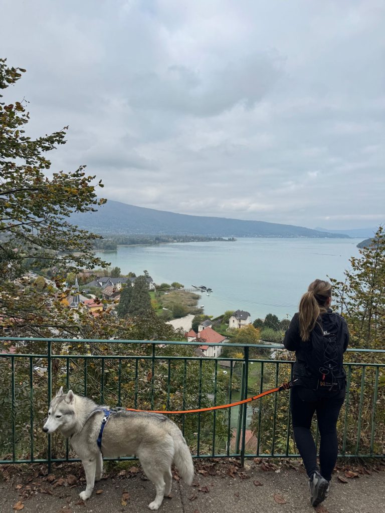 Belvédère de la randonnée du Taillefer avec vue sur les eaux turquoise du lac d’Annecy